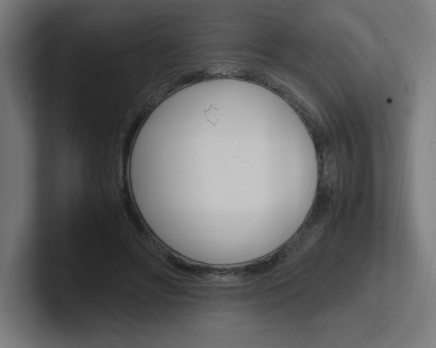 X0000102390502200808010937