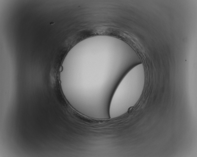 X0000102390503200808010937