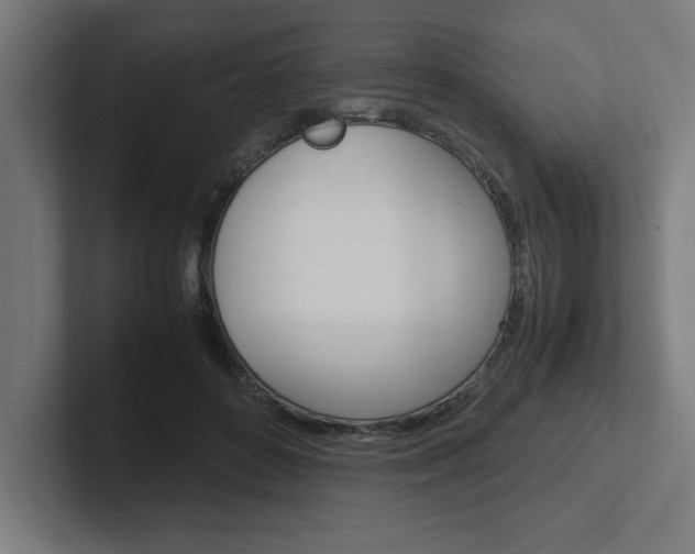 X0000102390504200808010937