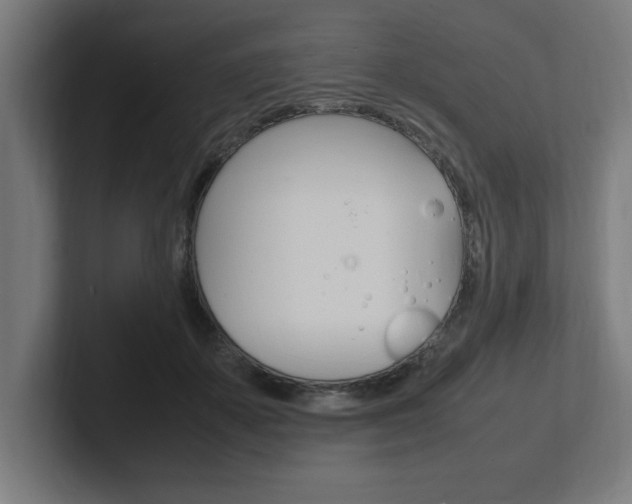 X0000102390507200808010937