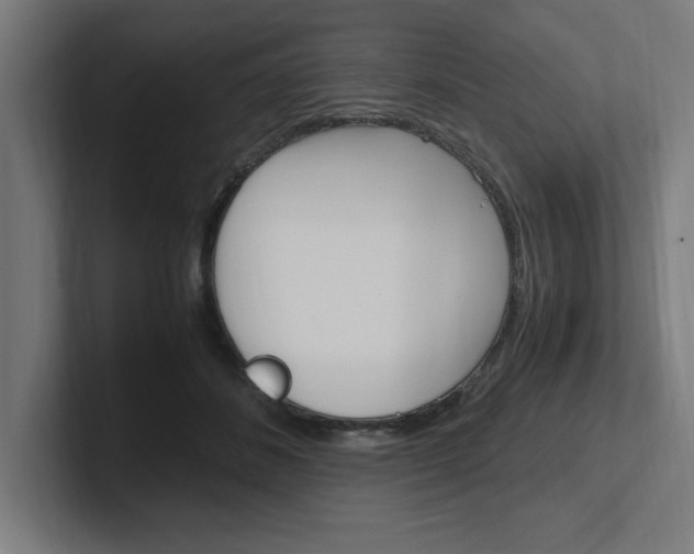 X0000102390508200808010937