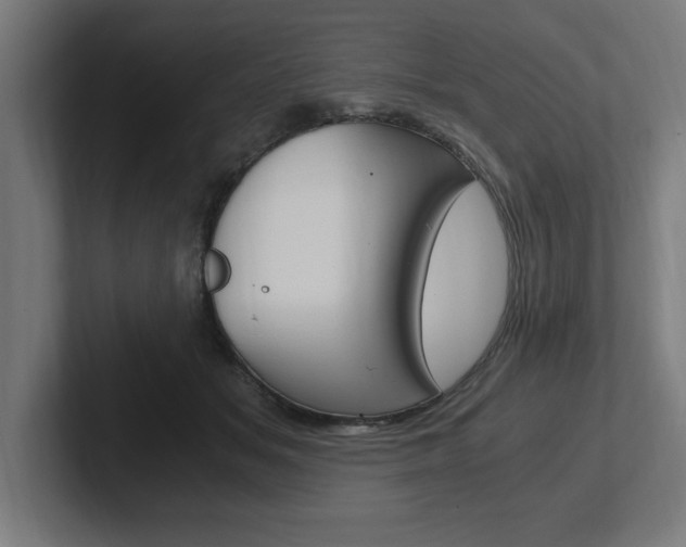 X0000102390509200808010937