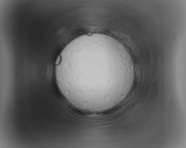 X0000102390511200808010937