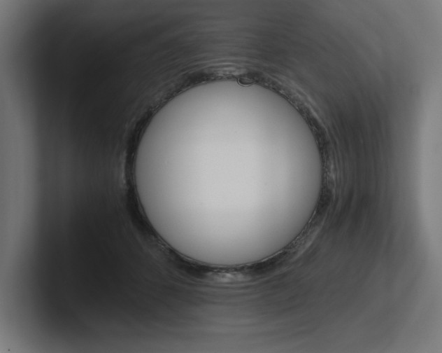 X0000102390512200808010937
