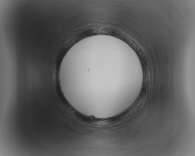 X0000102390513200808010937