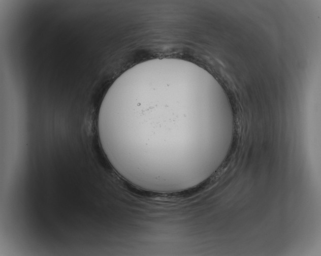 X0000102390515200808010937