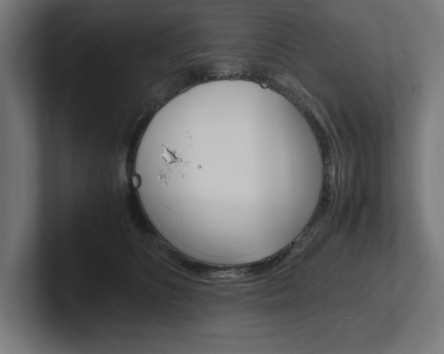 X0000102390516200808010937