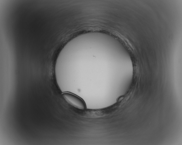 X0000102390517200808010937