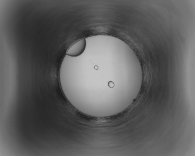 X0000102390518200808010937