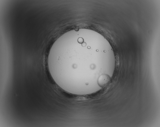 X0000102390519200808010937