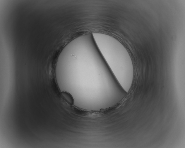 X0000102390520200808010937