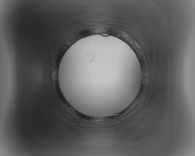 X0000102390521200808010937
