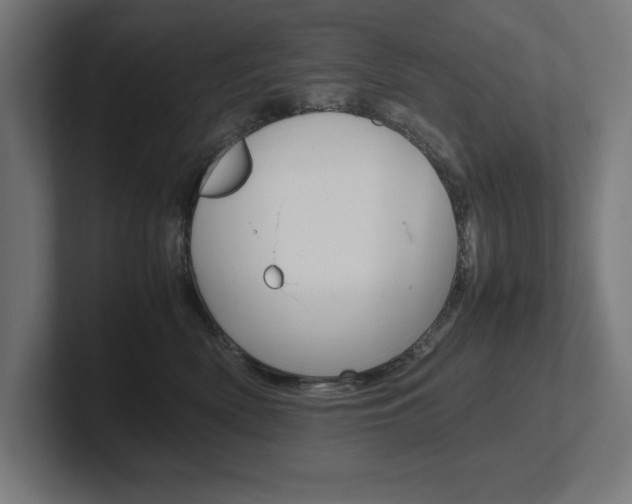 X0000102390522200808010937