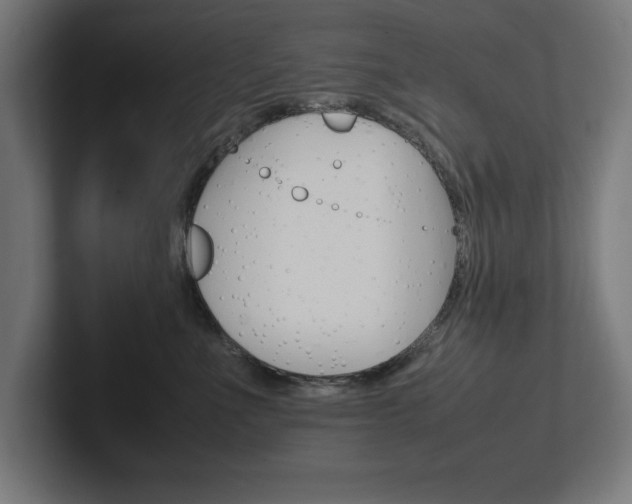 X0000102390523200808010937