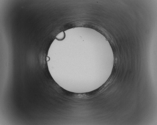 X0000102390525200808010937