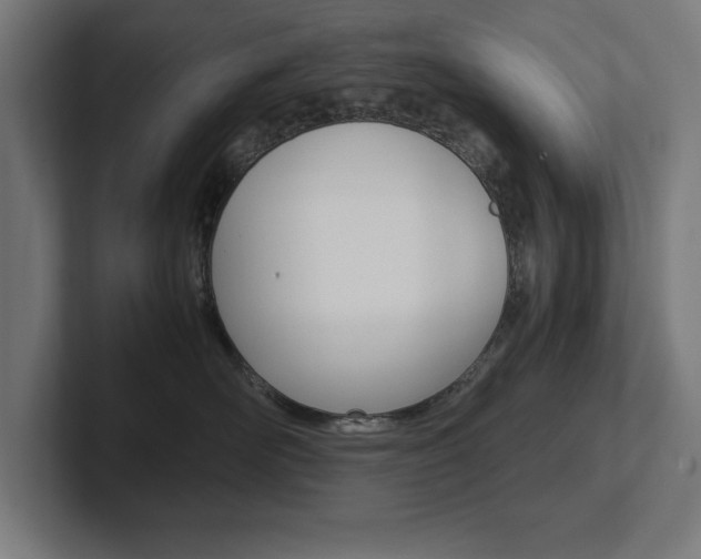 X0000102390526200808010937