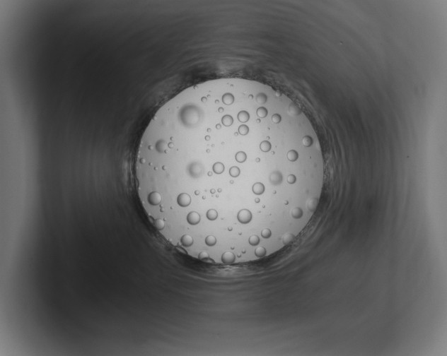 X0000102390527200808010937