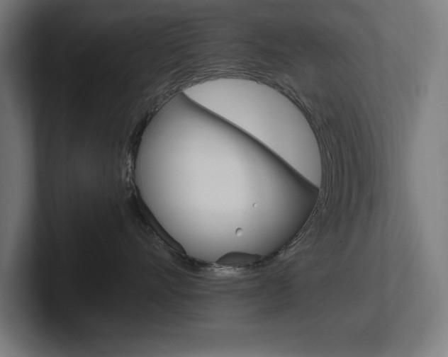 X0000102390528200808010937
