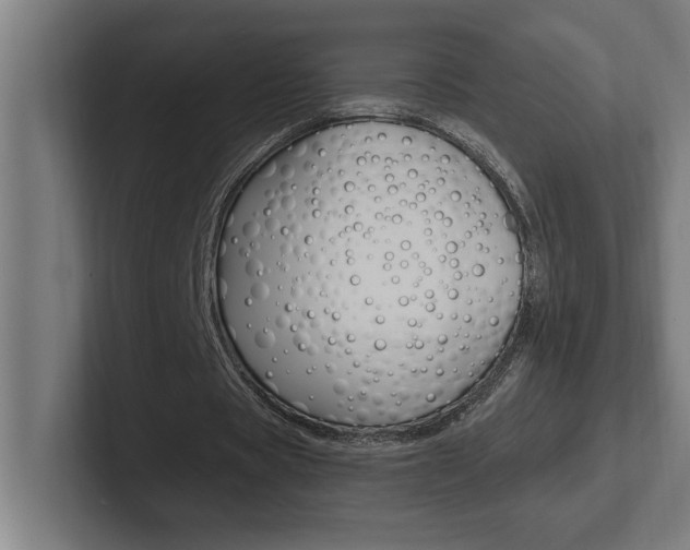 X0000102390529200808010936