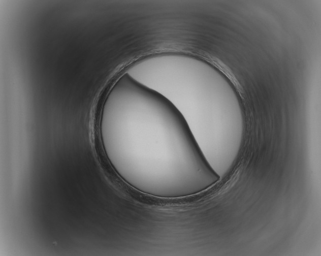 X0000102390530200808010936