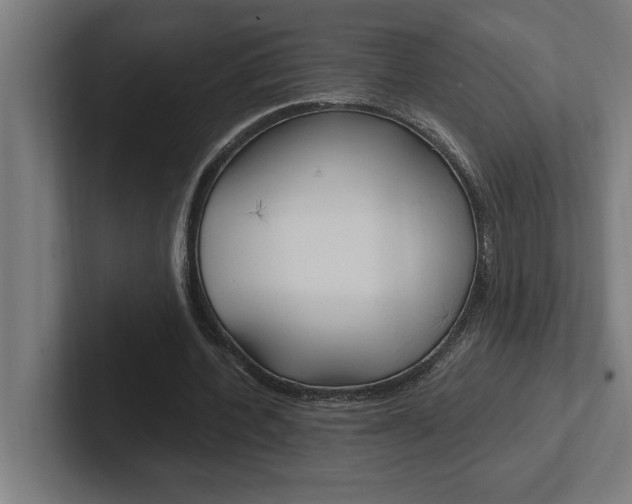 X0000102390532200808010936