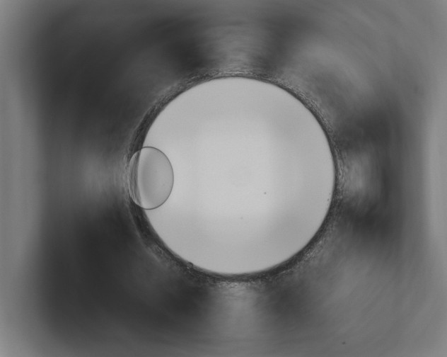 X0000102390534200808010936
