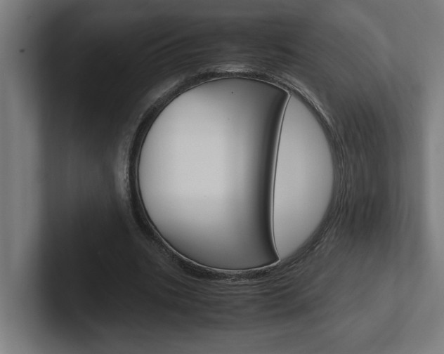 X0000102390535200808010936