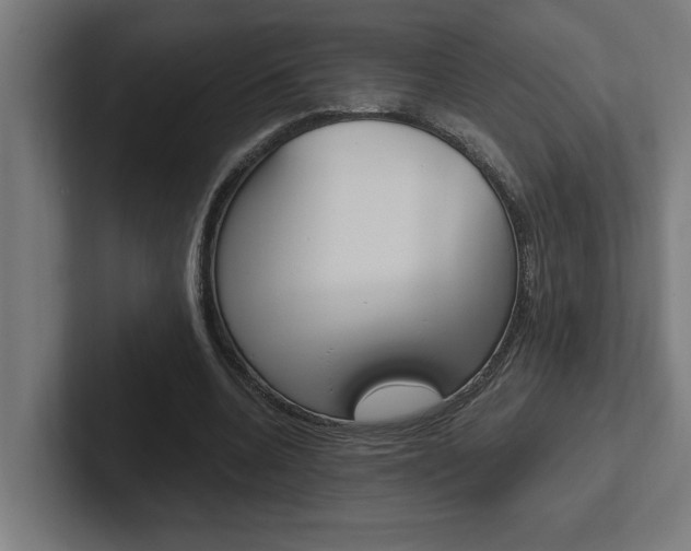 X0000102390536200808010936