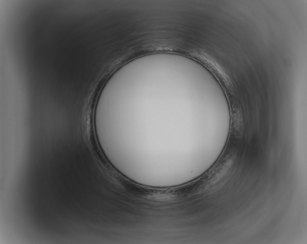 X0000102390537200808010936