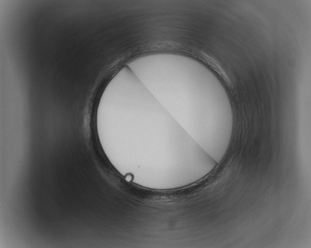 X0000102390538200808010936