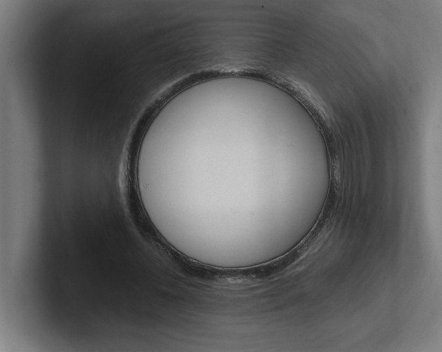 X0000102390540200808010936