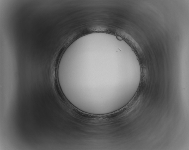X0000102390541200808010936