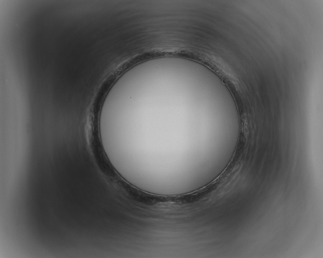 X0000102390544200808010936