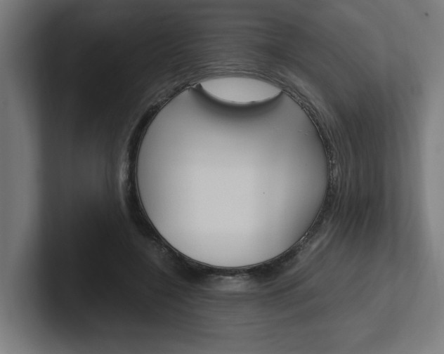 X0000102390548200808010937
