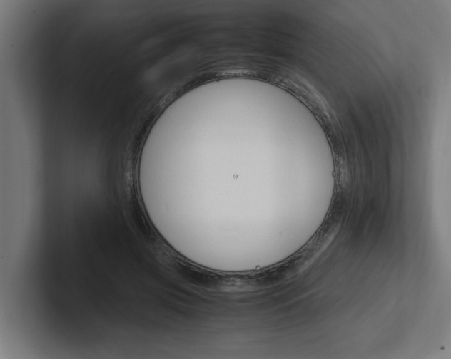 X0000102390549200808010937