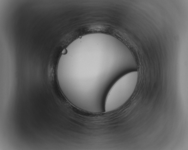 X0000102390551200808010937