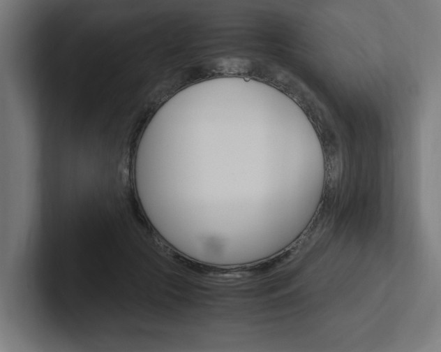 X0000102390553200808010937