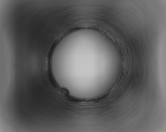 X0000102390556200808010937