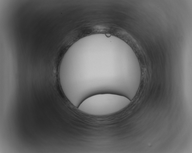 X0000102390557200808010937
