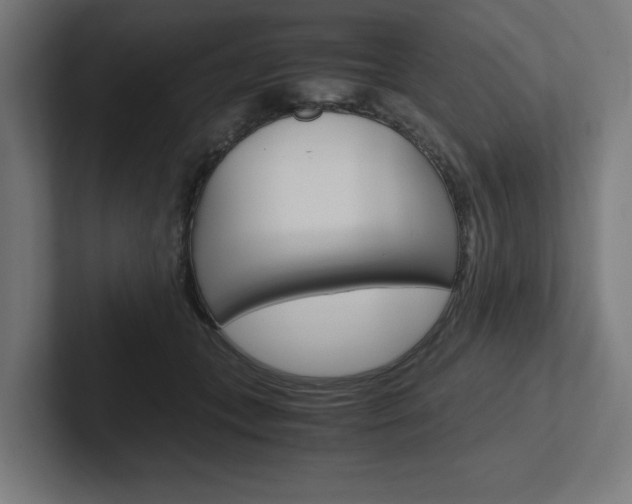 X0000102390559200808010937