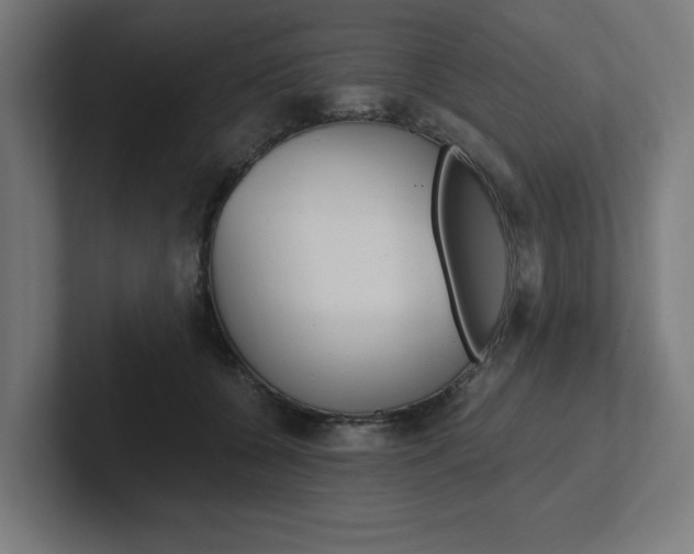 X0000102390560200808010937