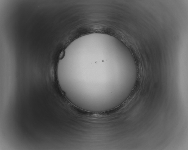 X0000102390562200808010937