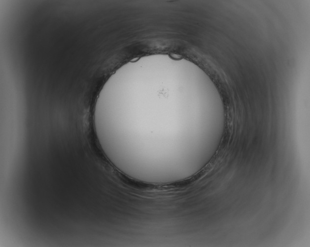 X0000102390563200808010937