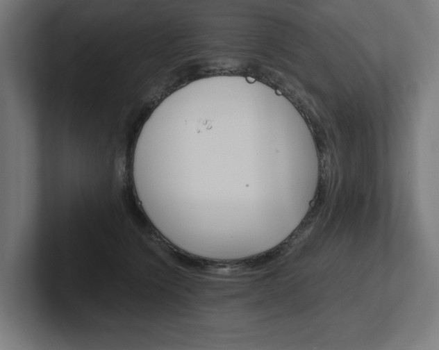 X0000102390564200808010937