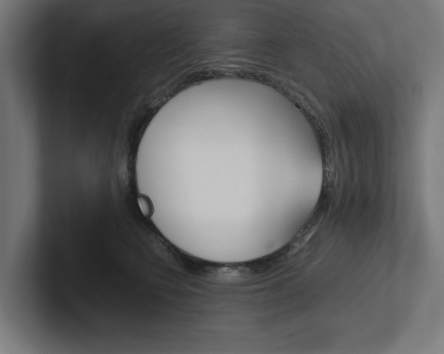 X0000102390566200808010937