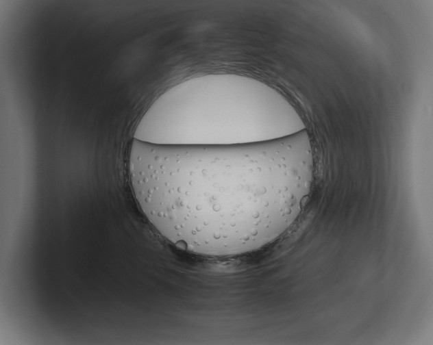 X0000102390569200808010937