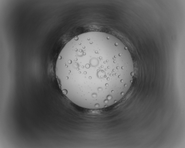 X0000102390573200808010937