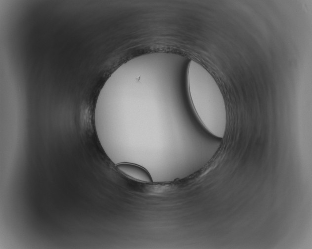 X0000102390575200808010937