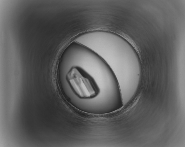 X0000102390577200808010936