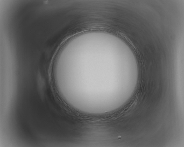 X0000102390579200808010936